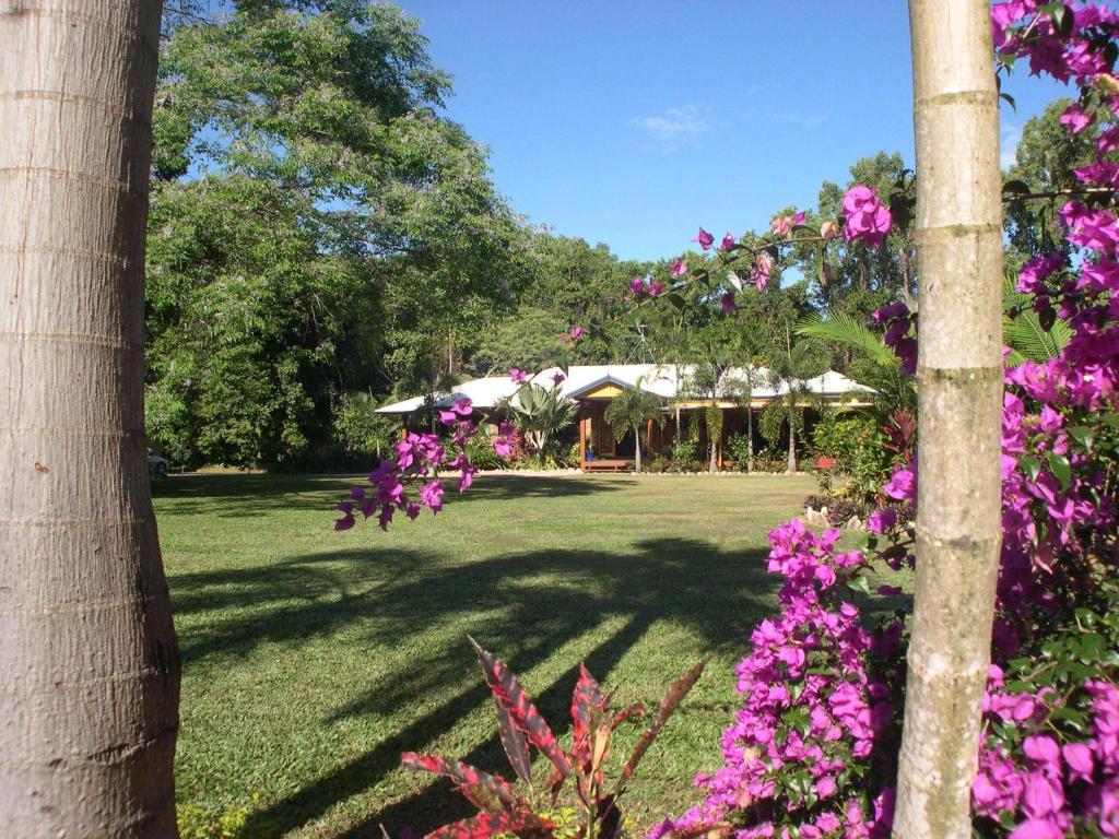Hibiscus Lodge Bed & Breakfast Wongaling Beach 외부 사진